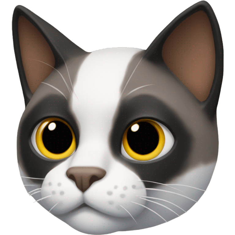 Snowshoe cat with Batman mask emoji