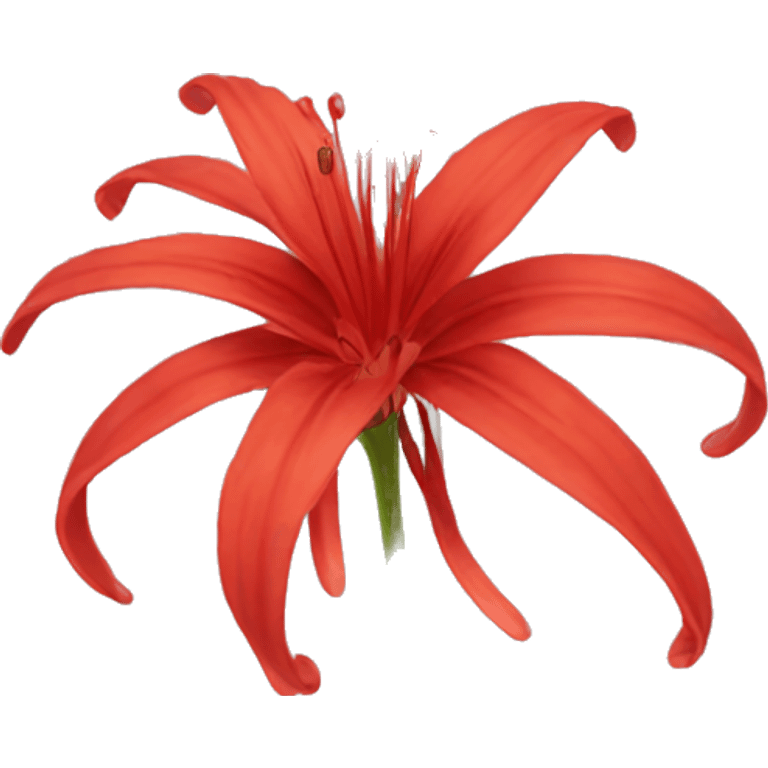 red spider lily flower emoji