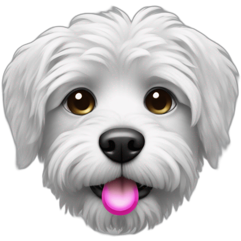 Black and white scruffy dog with pacifier emoji