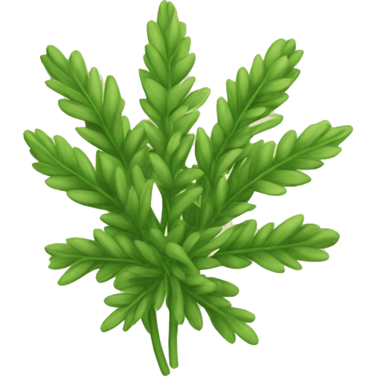 herb emoji