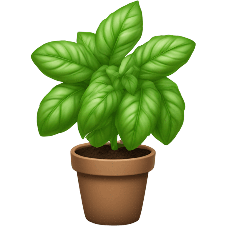 A basil plant in a pot emoji