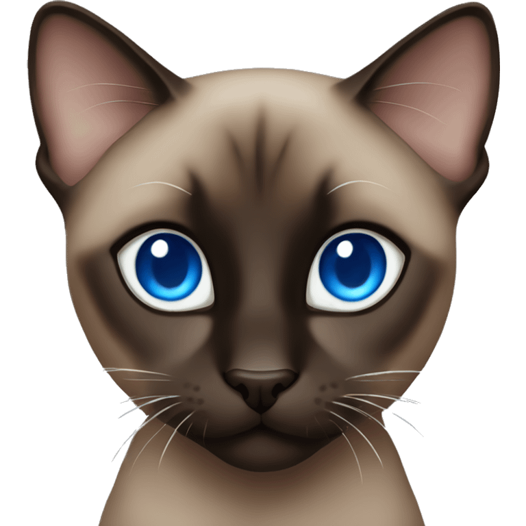 Dark brown and black Siamese cat with blue eyes emoji