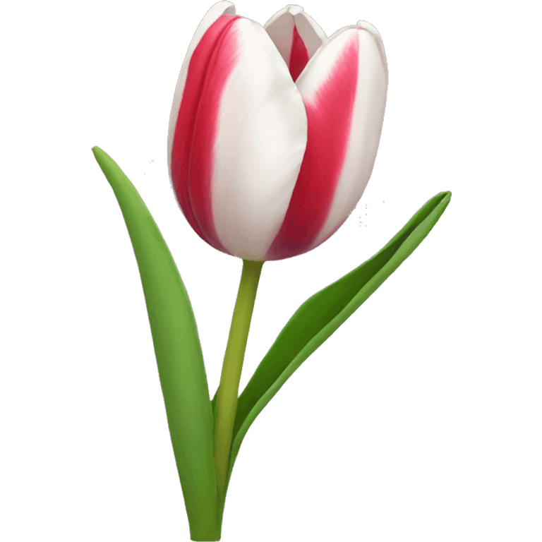 Tulip emoji