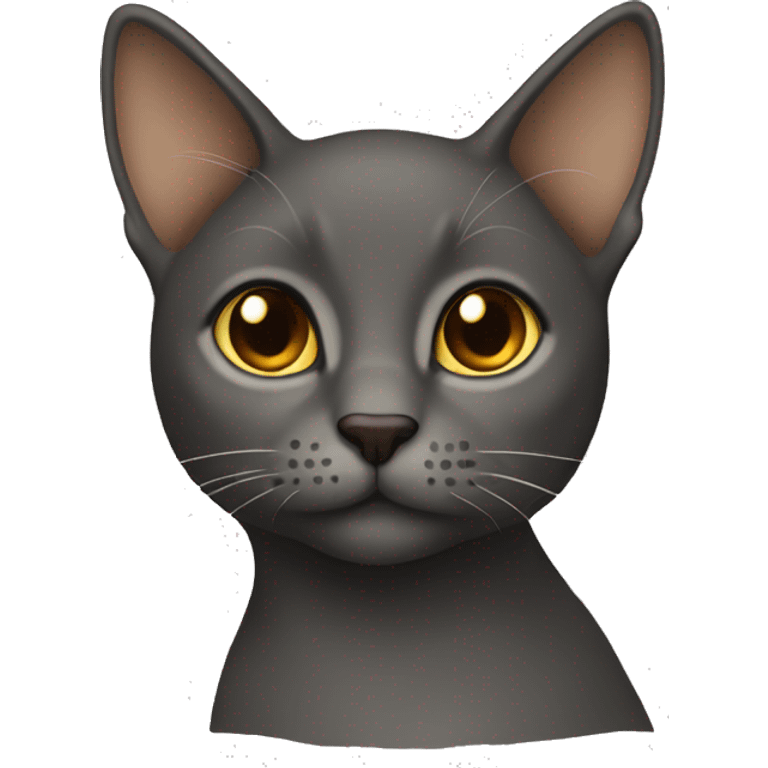 Dark grey cat with light brown  emoji