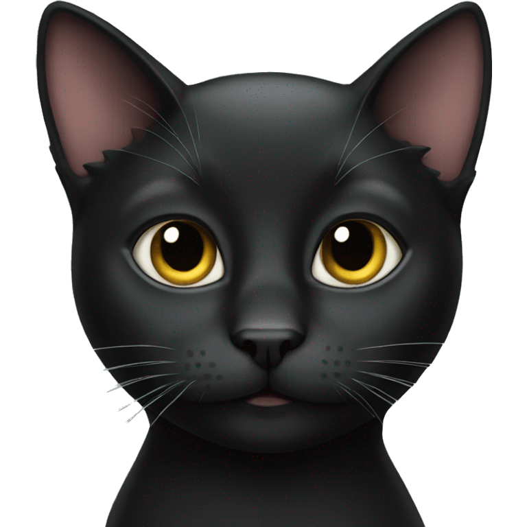 black cat  emoji