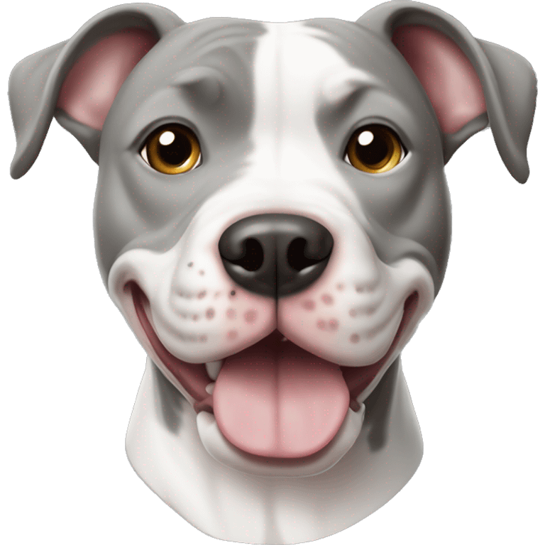 Gray and white pitbull emoji