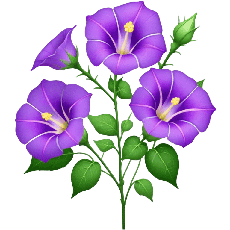 bouquet purple Morning Glorysuper, stem emoji