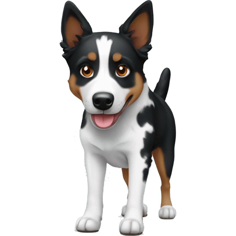 Black and white blue heeler mix with pointer emoji