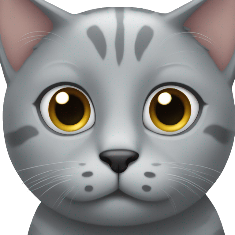 Grey cat with big black eyes emoji