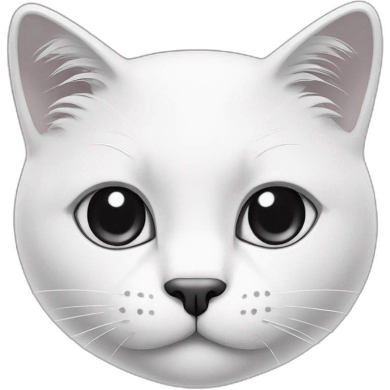 Black and white cat face emoji