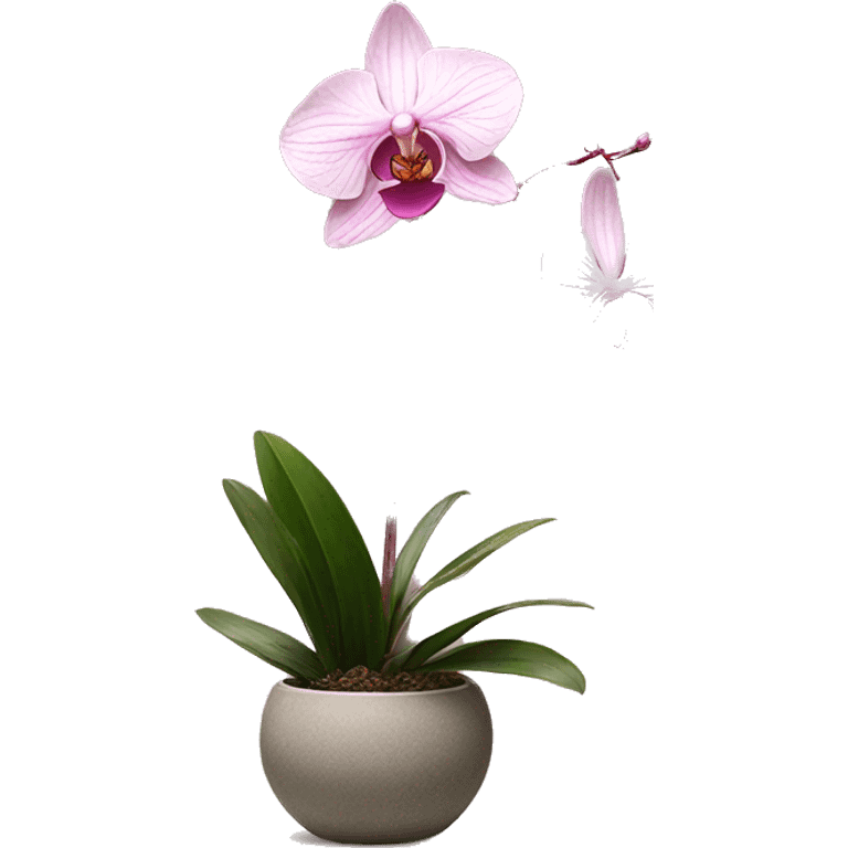 Ikebana orchid pink dainty plant emoji