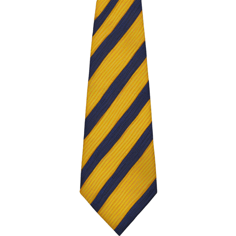 Boyscout necktie should be blue and yellow striped emoji