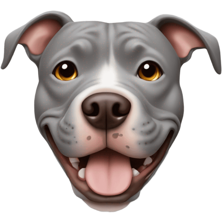 Grey pitbull with browns eyes and happy expression emoji