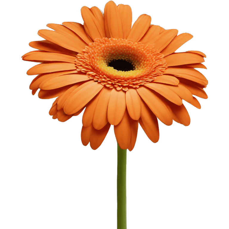 orange one flower gerbera emoji