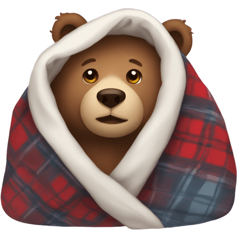 bear cozy in blanket emoji