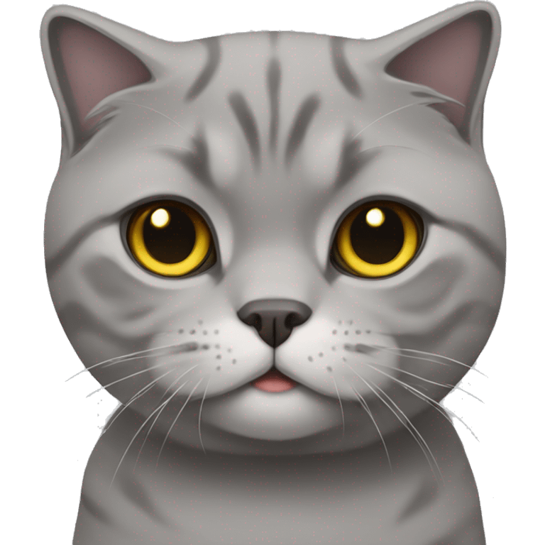 Grey Scottish Fold Cat emoji