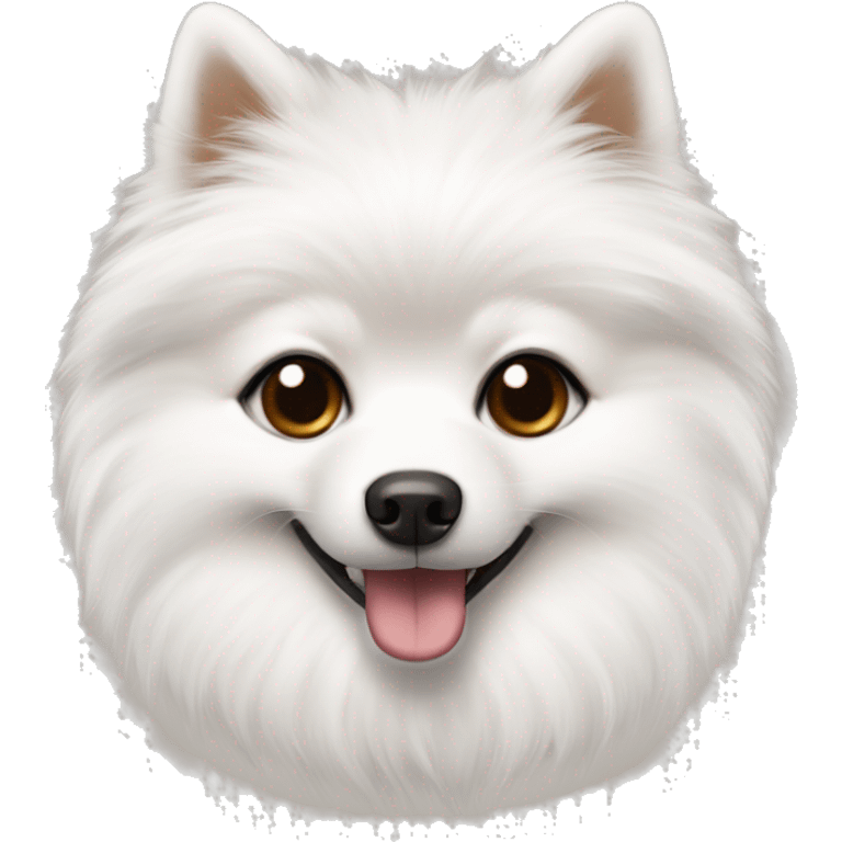 White  little pomerian spitz with brown eyes and black nose  emoji