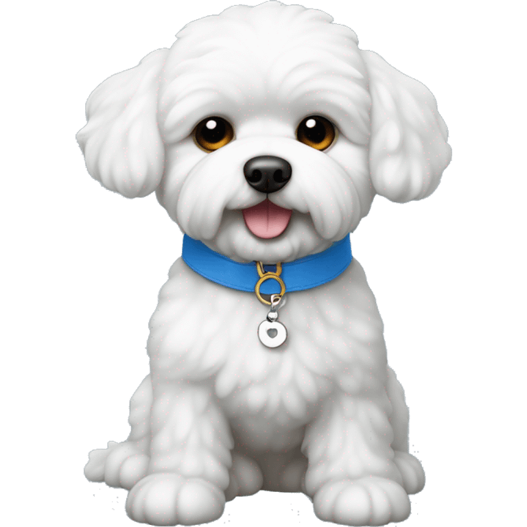 Perro bichon maltes con collar azul, con plaquita en forma de hueso, que dice Firto emoji