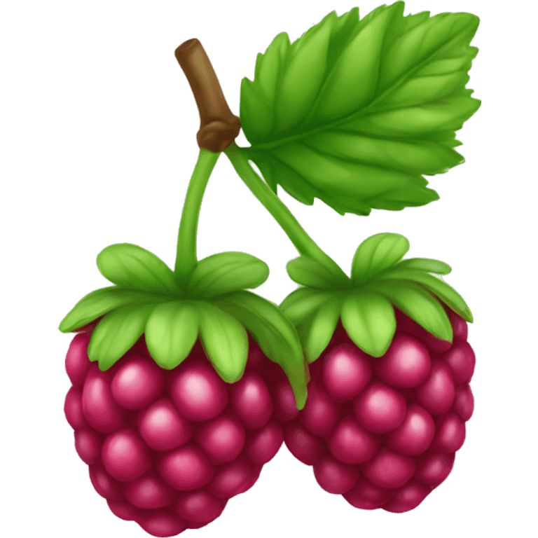 Rainbow raspberry  emoji