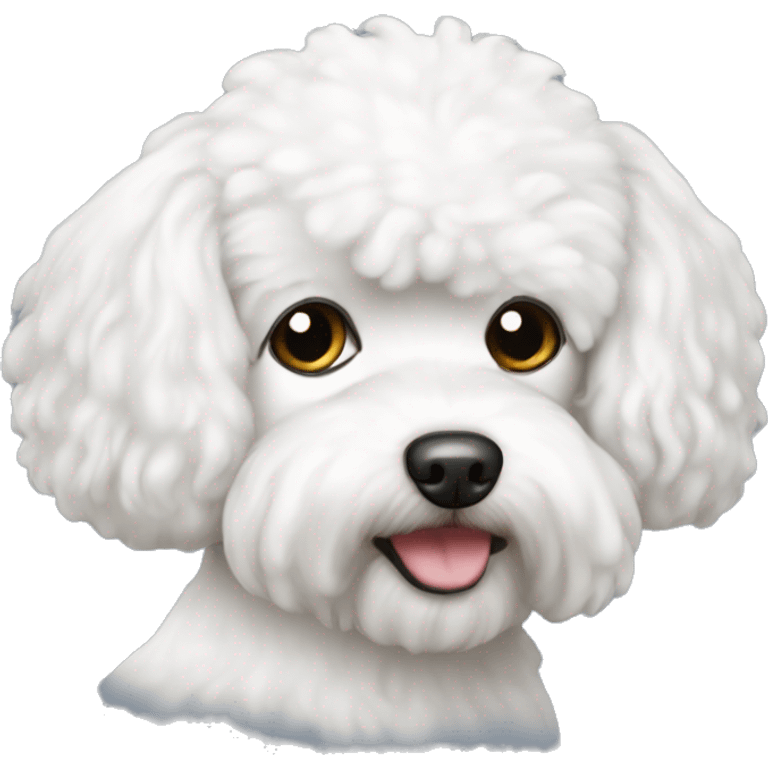 Bichon maltais emoji