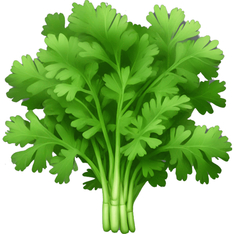 Cilantro with black background emoji