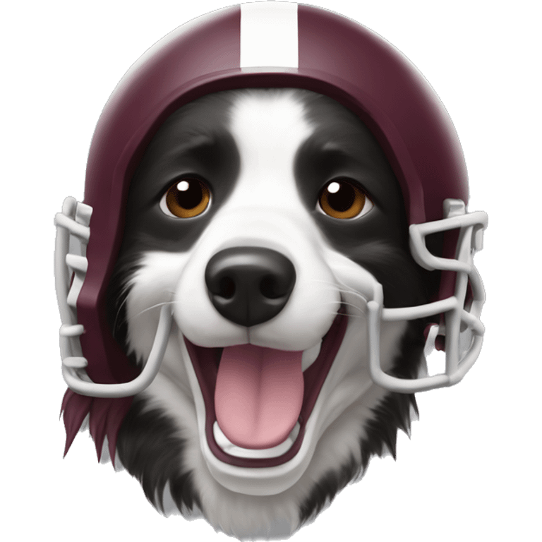 Border collie, crying, wearing an A&M football helmet emoji