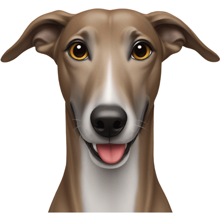 Greyhound with treats  emoji