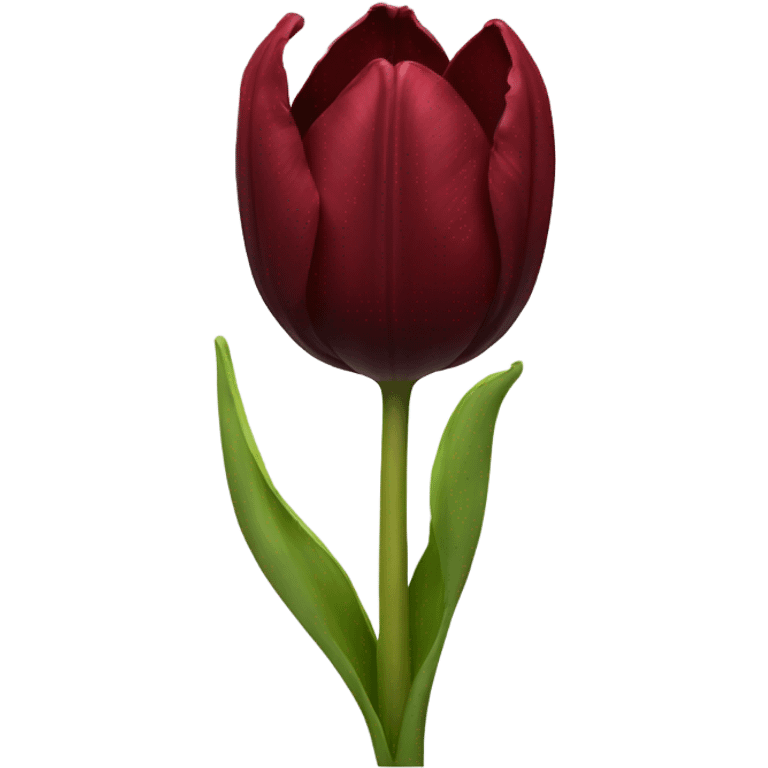 Dark red tulip emoji