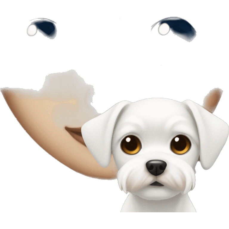 Blue eye Girl with white maltese dog with brown eyes  emoji