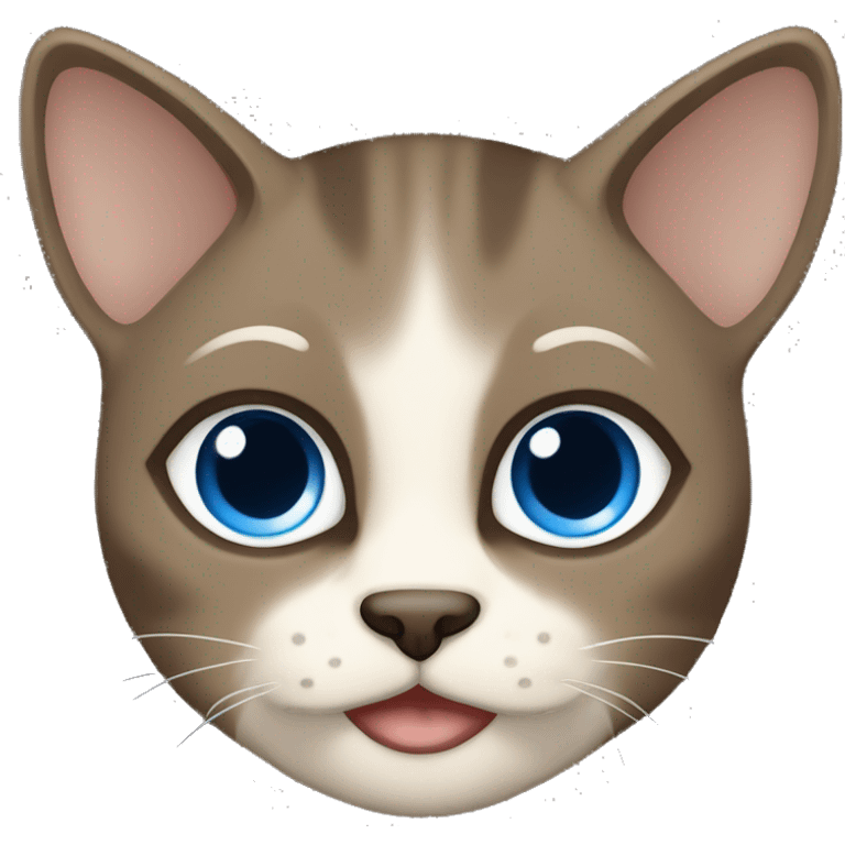 Dark Brown face - beige body and ears female siamise cat with blue eyes  emoji