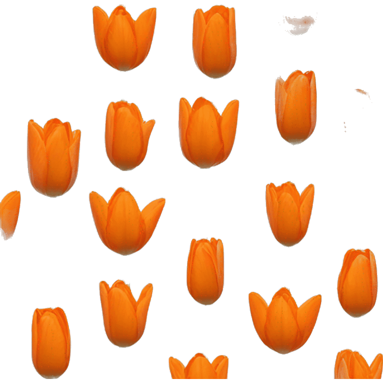 Orange tulip emoji