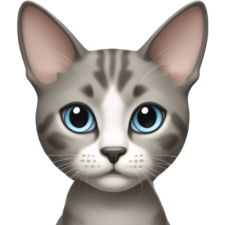 Thai breed cat with a warm cream body, dark gray face, ears, and paws. Short fur, sharp ears, and striking light blue eyes with an intense gaze. emoji