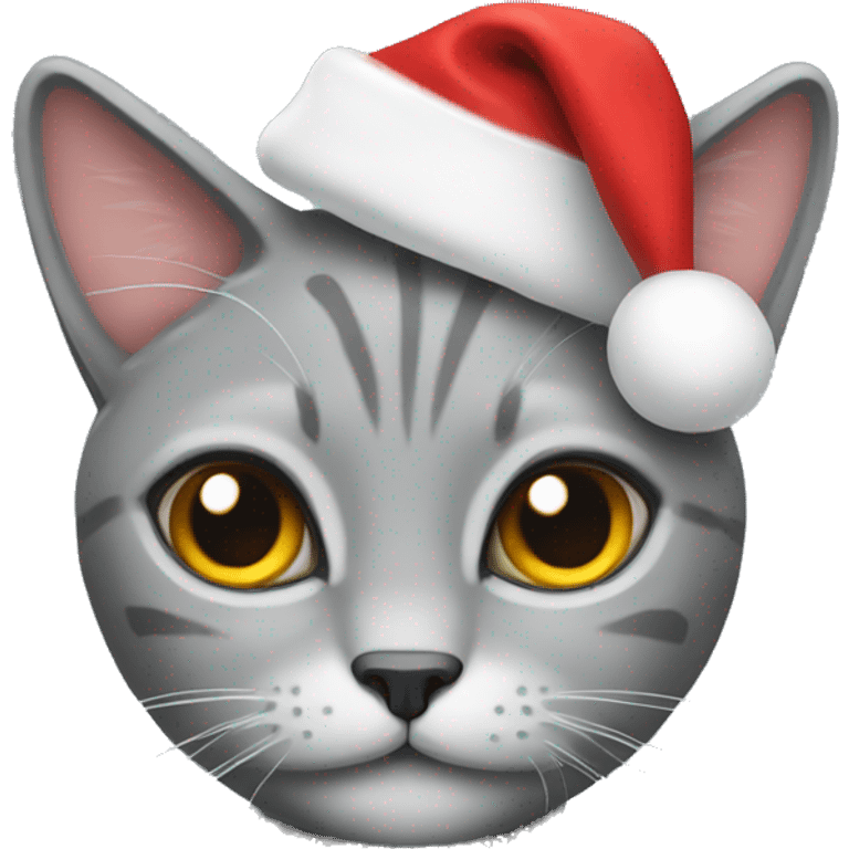 grey cat christmas hat emoji