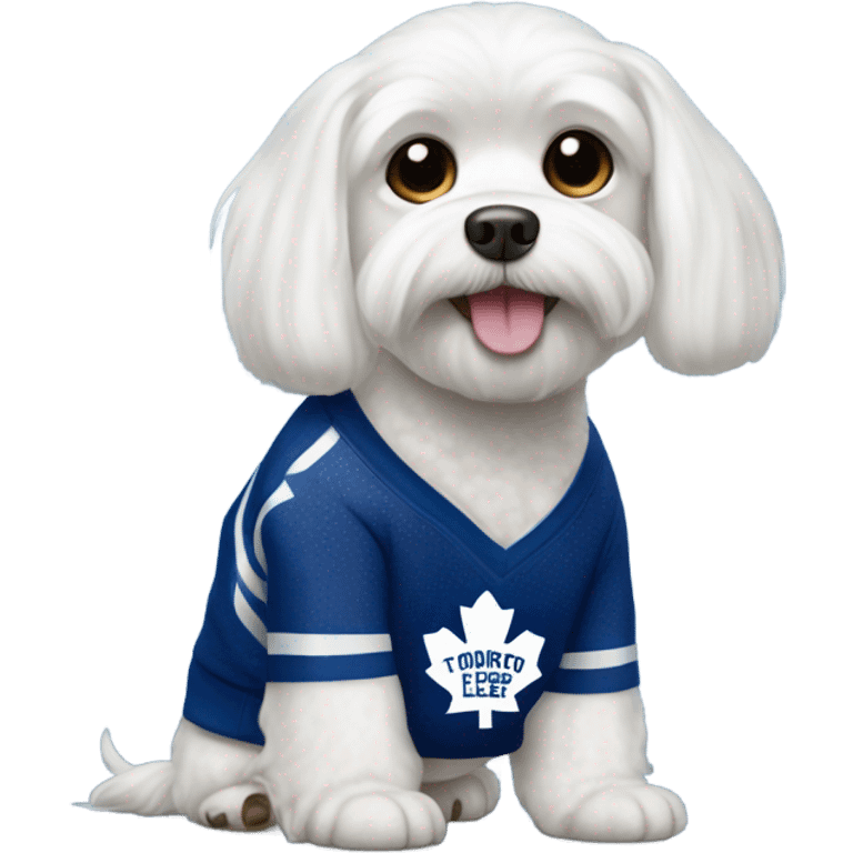 White Maltese with Toronto maple leafs sweater  emoji