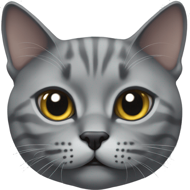 Face of gray British cat  emoji