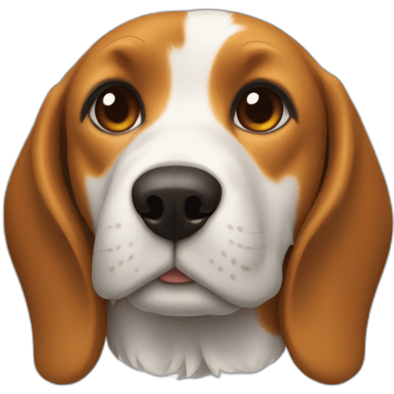 beagle on its back,top view emoji