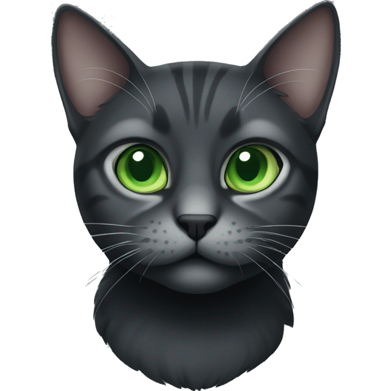 Black and grey cat with green eyes  emoji