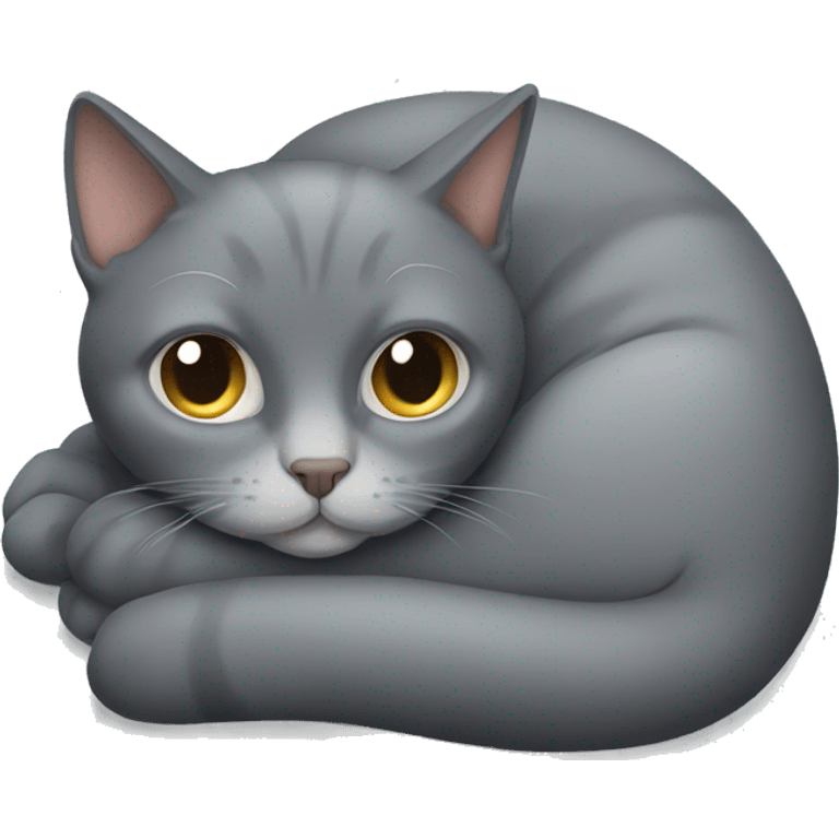 Grey cat curled up emoji