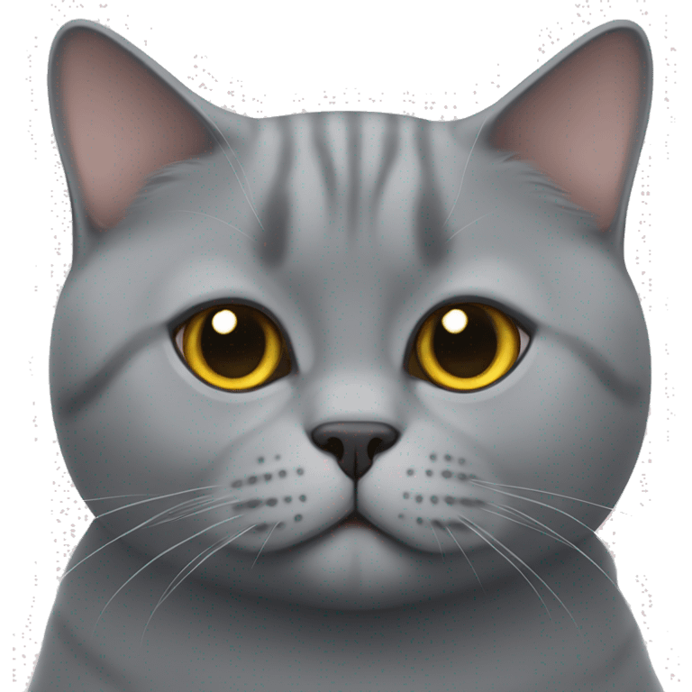 a british shorthair cat emoji