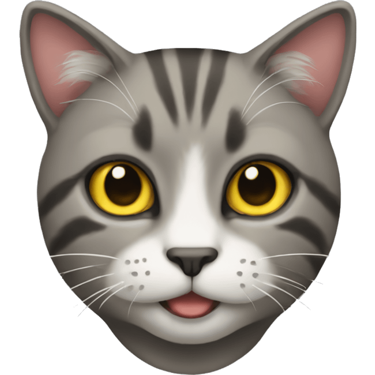 A cat  emoji