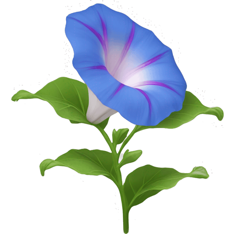 Morning glory flower  emoji