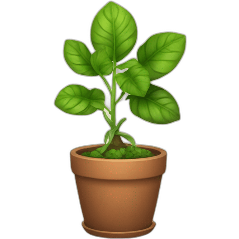 Divine plant in a pot emoji