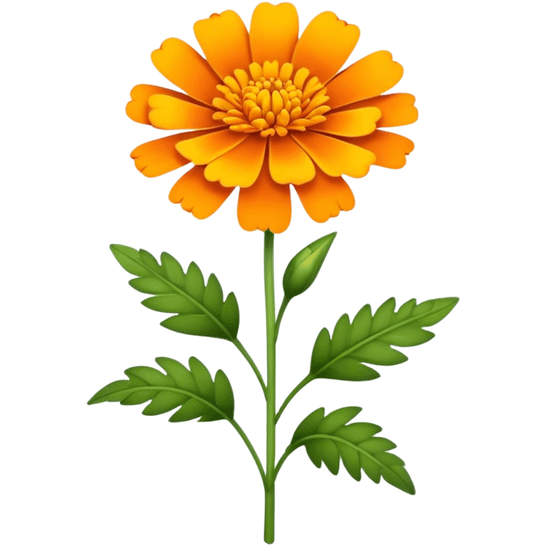 marigold  emoji