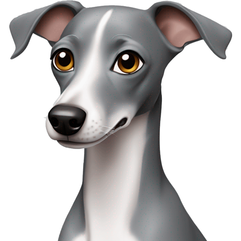 Grey Italian greyhound emoji