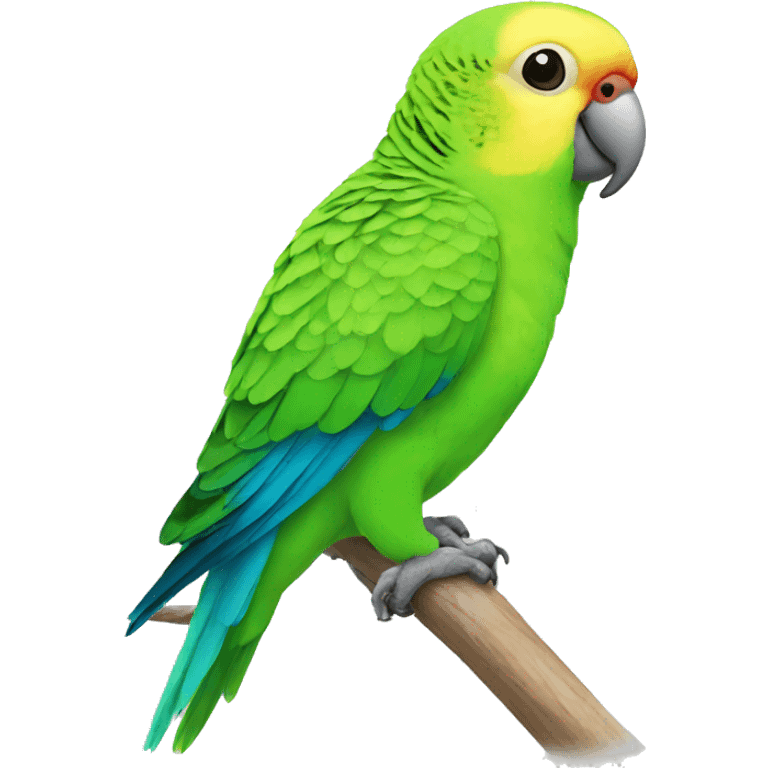 Parakeet emoji