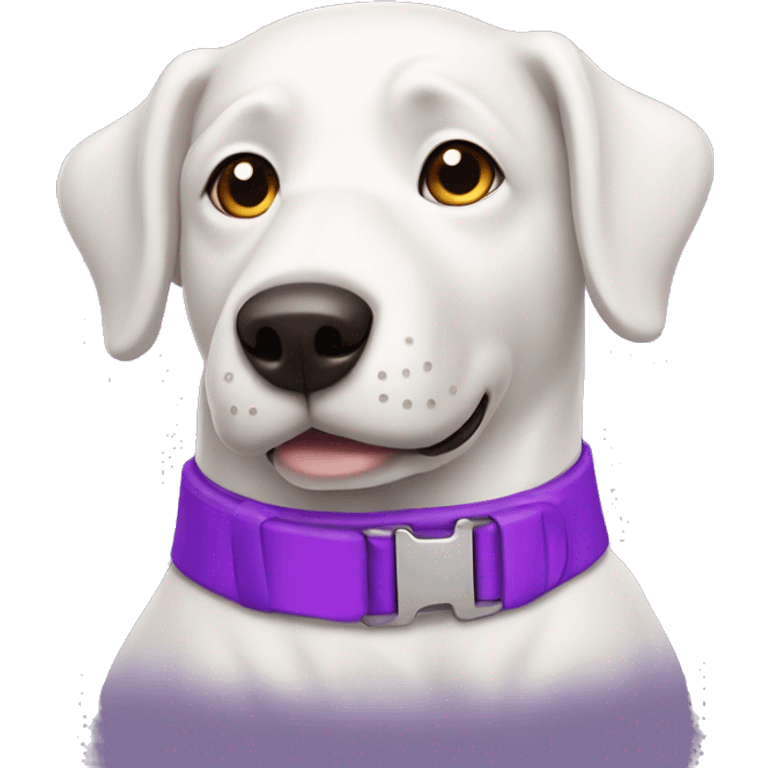 White mutt dog wearing purple collar  emoji