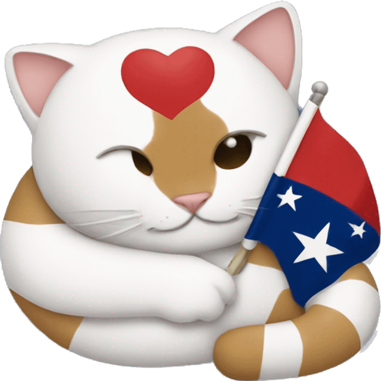 cat hugging texas flag emoji