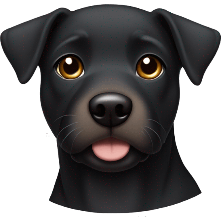 A black Patterdale Terrier dog with a white patch on its chest and brown eyes.  emoji