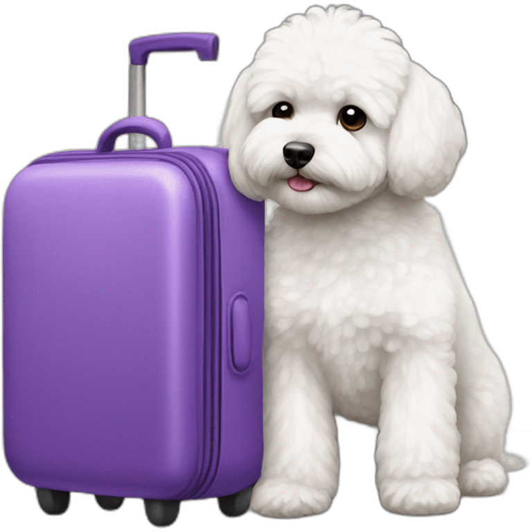 white maltipoo with purple luggage emoji