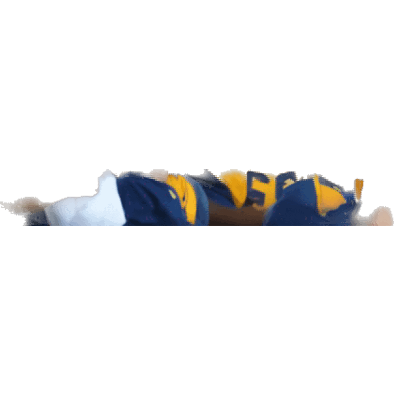 cat at a university of california football game emoji